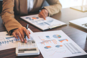 Private Sector in Financing the SDGs